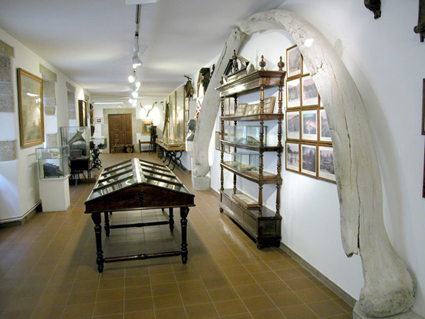 Museo das Mariñas