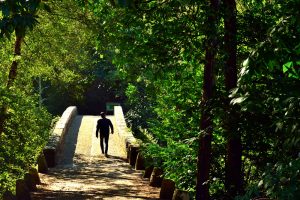 Ruta Termal e do cami+¦o do Norte - A World to Travel (5 de 13)