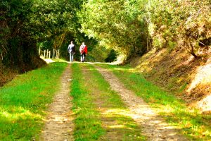 Ruta Termal e do cami+¦o do Norte - A World to Travel (8 de 13)