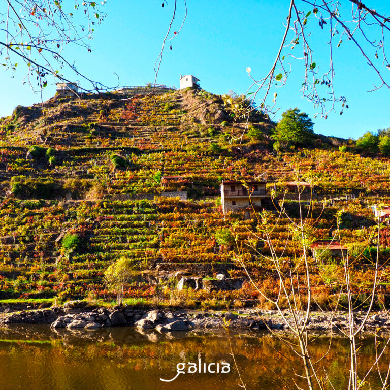 Recorrido por el Río Miño – Turismo de Galicia